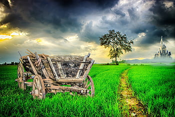 wagon, carriage, old, wood, wheels, wheel, spokes, antique, hay, horse, transport