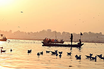 sunset, sea, landscape, dusk, silhouette, water, boat, birds, seagull, twilight, dawn