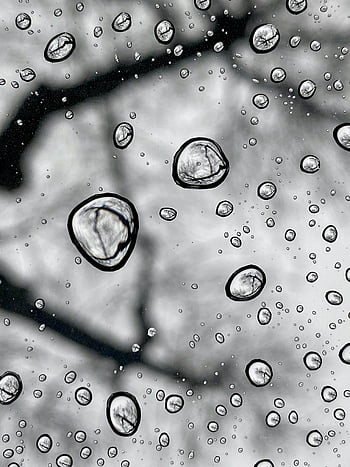 waterdruppels, zwart glas, detailopname, regendruppels, glazen oppervlak, onscherpe achtergrond, reflecterend effect, zwart en wit, macrofotografie, water kralen, glazen paneel