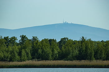 kousky, vzdálenost, pryskyřice, jezero, Dolní Sasko, krajina, Příroda, stromy