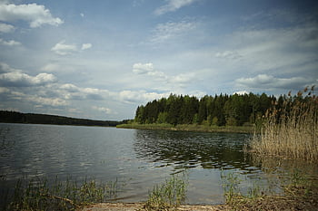 přehradní zeď, zeď, přehrada, bariérová zeď, zadržet, zdivo, historický, starý, Příroda, voda, jsou bach