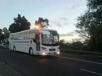 DSWD, ekspressbus, Regeringskøretøj, Del Monte Motors, bus, filippinerne, Institut for Social Velfærd og Udvikling, morgen, vej, træer, køretøj