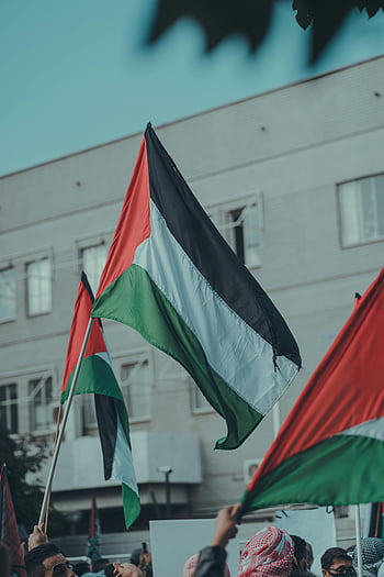 Palestinian flags, close-up shot, nationalism, patriotism, outdoor setting, lively scene, Palestinian symbolism, flag waving, cultural event, public gathering, Middle East