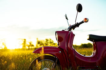 skuter, zachód słońca, czerwony silnik, trawy, motocykl, na wolnym powietrzu, łąka, transport, klasyczny, retro, Natura