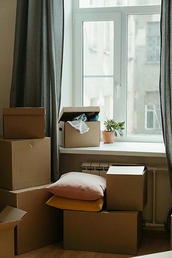 Umzugskartons, sonnendurchflutetes Zimmer, neue Wohnung, Neuanfang, Kartons, Fensteransicht, Zimmerpflanzen, Gestapelte Kisten, gemütliches Zimmer, Wohnkultur, Umzugstag