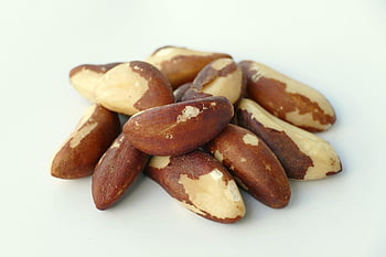 nuts, proteins, snack, brazil Nut, kernels, brazil Nut Kernels, bertholletia Excelsa, minerals, food, superfood, nourishment