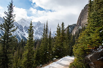 scenic, snowy, mountains, hiking, trail, nature, outdoors, adventure, forest, trees, sky