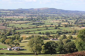 alanlar, İngiltere, tepeler, shropshire, kırsal, ülke, doğa, tarım, peyzaj