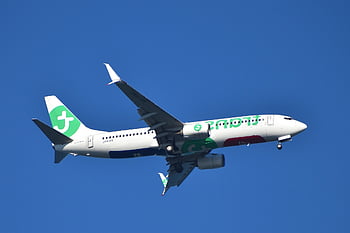 letoun, letadlo, airbus, Příroda, let, létající, cestovat, přeprava, nebe