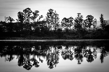 mountains, sunset, sky, clouds, vegetation, forest, outdoors, nature, landscape, blackandwhite, preto E Branco