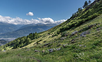 vysokohorský, hory, švýcarsko, valais, pastvina, Alpy, krajina, Příroda, slunný