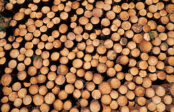 wood, timber, stack, wooden, rough, firewood, pile, log, lumber, material