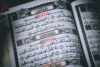 Corano, Calligrafia araba, sceneggiatura tradizionale, Primo piano dettagliato, Pagine del Corano, testo islamico, libro religioso, Scrittura araba, libro sacro, Calligrafia islamica, Scritture religiose