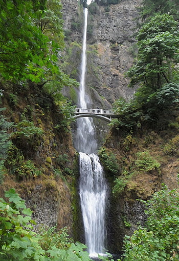 cascata, foresta, Oregon, carta da parati schermata di blocco, carta da parati ipad, contea multnomah, bella carta da parati, carta da parati mobile, natura, paesaggio, carta da parati iphone