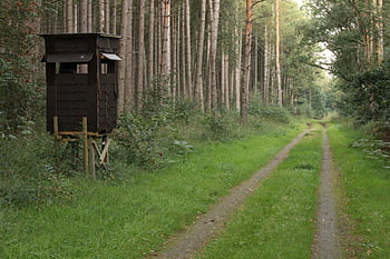 path, nature, wilderness, rural, outdoors