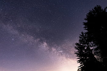 natt, tre, stjernehimmel, himmel, galakse, rom, trær, silhouette, natur, astronomi, utendørs
