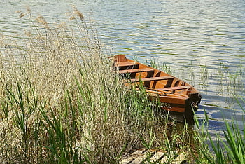 veslice, jezero, Lodž, dřevěná loď, Polsko, rákosí, řeka, Příroda, relaxace, dok, molo