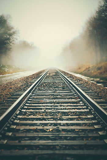 鉄道、 霧の鉄道、 霧、 ムーディーな視点、 線路、 大気シーン、 消失点、 自然、 屋外の、 旅行、 交通手段