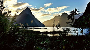 Milford Sound, montagne torreggianti, acque calme, Twilight sereno, giorno, paesaggio naturale, Nuova Zelanda, scenario all'aperto, Vista tranquilla, bellezza scenica, catena montuosa