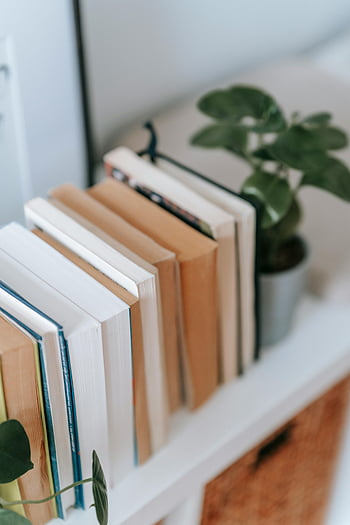 Regal, Stapel Bücher, Pflanze, Gemütliche Innenszene, Arrangierte Bücher, grüne Pflanze, Weißes Bücherregal, Inneneinrichtung, Bücherregal -Dekor, Wohnkultur, Nook lesen