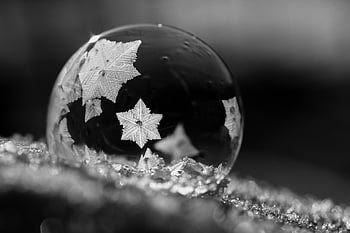 snowflakes, frozen Bubble, ice Crystals, soap Bubble, snow, winter, cold, nature, christmas, frost, black And White