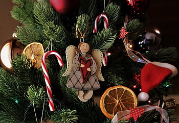 christmas Tree, ornaments, christmas, angel, advent, christmas Card, celebrate, christmas Tree Decorations, december, conifer, christmas Wallpaper