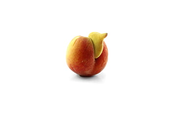 peach, rare, easter, floral, spring, tender, egg, cardboard, white, strange, weird