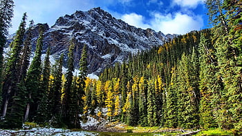 banff, les, hory, jezero, alberta, Kanada, Příroda, sníh, zimní, krajina, stromy