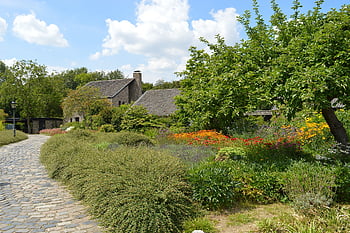hodnocení, Dům, architektura, historický, Zajímavosti, Německo, sever rhine westphalia, země, wasserburg, hrad, zahrada