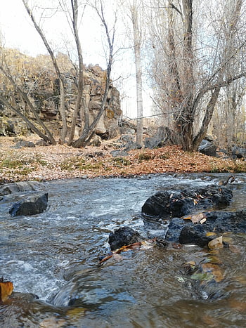 river, rocks, forest, stream, creek, water, flow, bank, stones, trees, woods