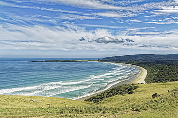 new Zealand, oyster Bay, bay, cliff, rock, nature, landscape, coast, sea, water, otago