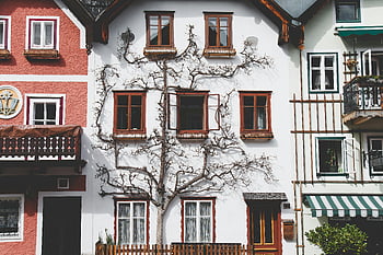 Hallstatt, østrig, traditionelle huse, Charmerende facade, arkitektoniske detaljer, klatring planter, hvide Hus, vinduer, altaner, europæisk arkitektur, landsby scene
