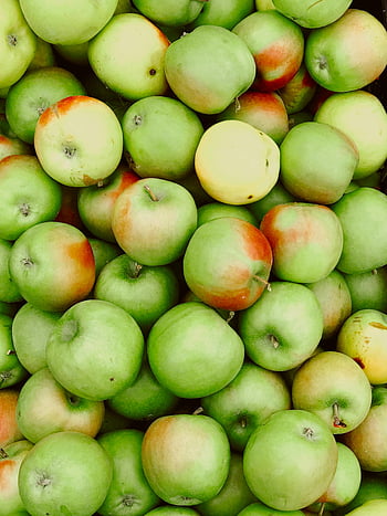 zelená jablka, zblízka střílel, čerstvé produkty, Türkiye jablka, živá kolekce, zelené ovoce, sklizeň jablek, zdravé jídlo, Organická jablka, trhu s ovocem, odrůdy jablek