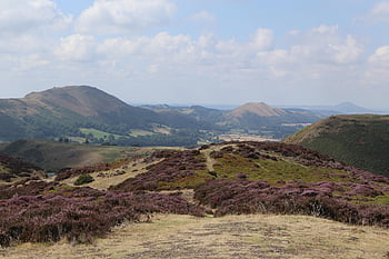 Long Mynd, shropshire, Shropshire Tepeleri, peyzaj, doğa, tepeler, manzara, dağlar, İngiltere