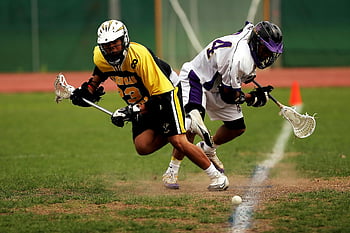 lacrosse, yellow and black jersey, lacrosse stick, outdoor game, grass field, two men, intense game, sports action, helmet, competition, lacrosse ball