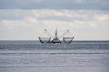 fishing Boat, nets, sea, boat, shrimp, crabs, fishing Vessel, fishing, ship, ocean, water