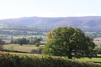 kırsal, ülke, kırsal bölge, peyzaj, manzara, shropshire, İngiltere, ağaç, Tepe