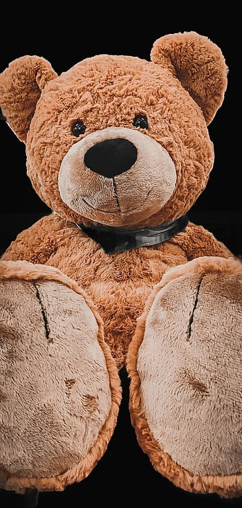 teddy, nagy, plüss, kitömött állat, játék, Teddi maci
