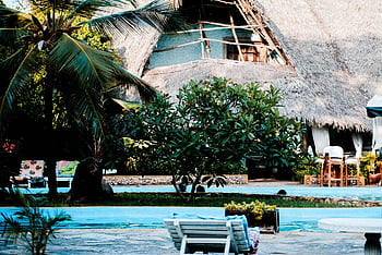 tropical resort, swimming pool, palm trees, thatched-roof villa, poolside area, serene landscape, relaxation, white bench, lush greenery, vacation destination, outdoor setting