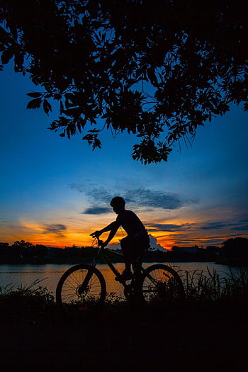bicycle, sunset, lake, bike, cyclist, people, silhouette, sky, exercise, landscape, road