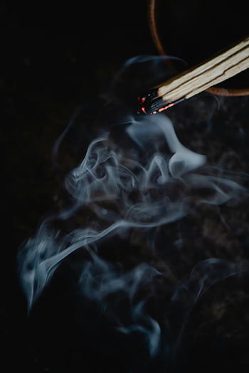Lit Palo Santo, kouř, vonné tyčinky, detail, duchovní atmosféru, aromatický, rozjímání, relaxace, přírodní, léčení, rituál