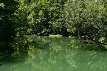 ardeche, france, laguna, three, mirror, green, wild