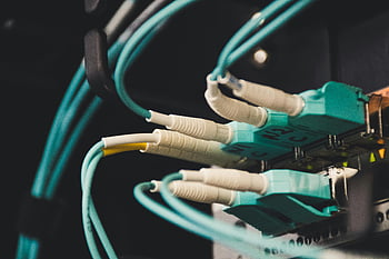 cables de fibra óptica, Cuarto de servicio, conectividad, cables tapados, cerca de la foto, Vista detallada, puertos, cables de red, centro de datos, conectividad del servidor, puertos de fibra óptica