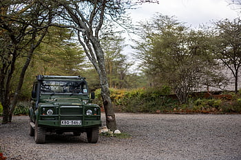 safari, adventure, transportation, sand, jeep, offroad, travel, auto, driving, vehicle, road