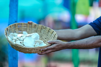 mushroom, vegetables, healthy, organic, basket, vegitables, camera, photography, mashroom