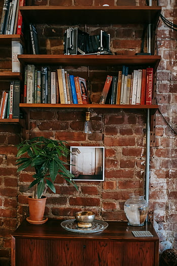 rak buku, dinding bata, perpustakaan rumah, dekorasi yang nyaman, kamar yang hangat, rak kayu, tanaman indoor, dekorasi vintage, ruang baca, interior pedesaan, koleksi buku