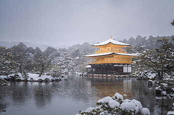 temple, kinkakuji Temple, snow, nature, snowfall, japan Garden, kyoto, japan, landscape