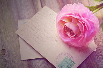 pink rose, greetings card, rustic wooden surface, elegant flower, romantic scene, vintage postcards, floral arrangement, romantic decor, vintage style, love letter, romantic gift