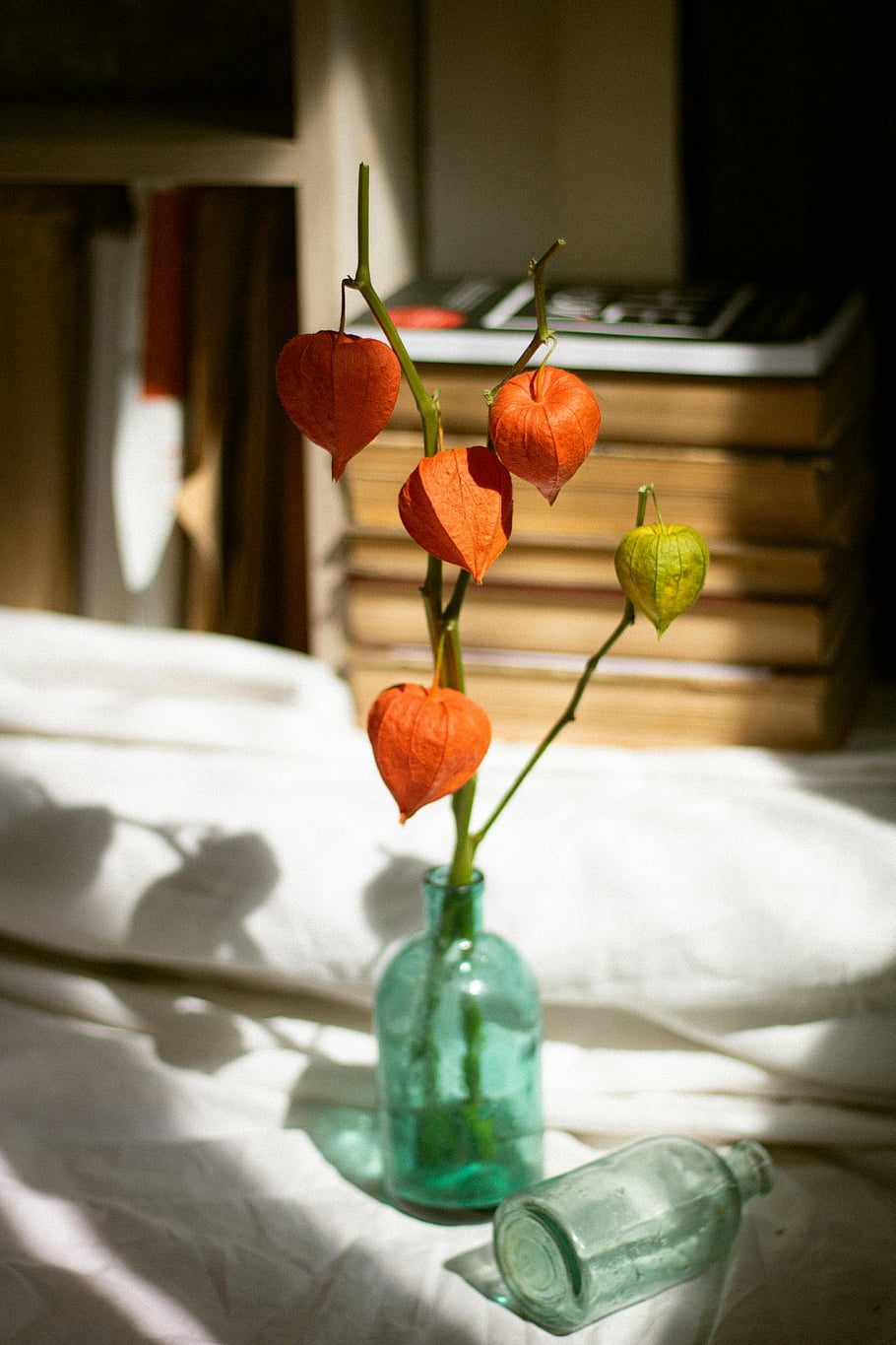květiny physalis, Vintage skleněná váza, skládaný knihy, umělecké zátiší, oranžové listy, větev ve váze, skleněná láhev, vnitřní dekor, přirozené světlo, Domácí estetika, květinové aranžmá