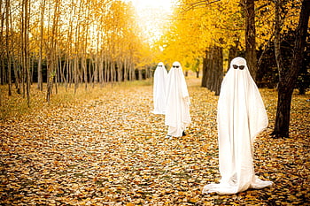 Halloween, Geist, fallen, Herbst, Süßes oder Saures